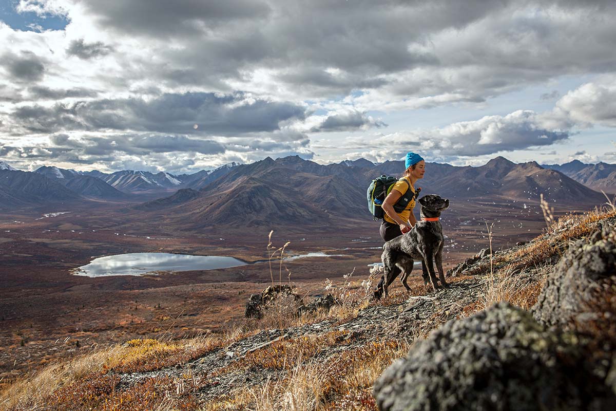 Hiking up mountain with dog (Northwest Territories)